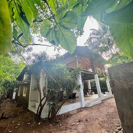 The Sunset Chalet Anjuna Ngoại thất bức ảnh