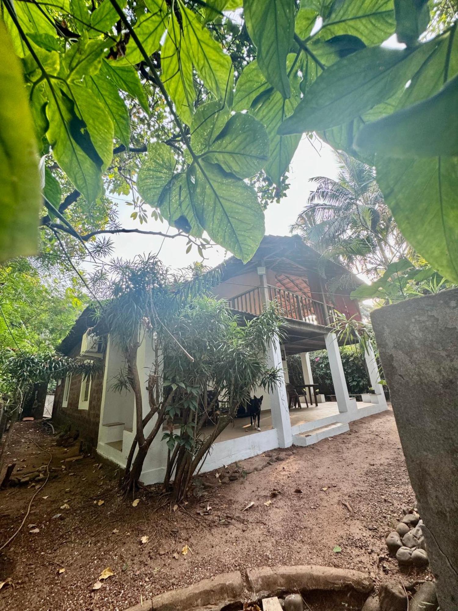 The Sunset Chalet Anjuna Ngoại thất bức ảnh
